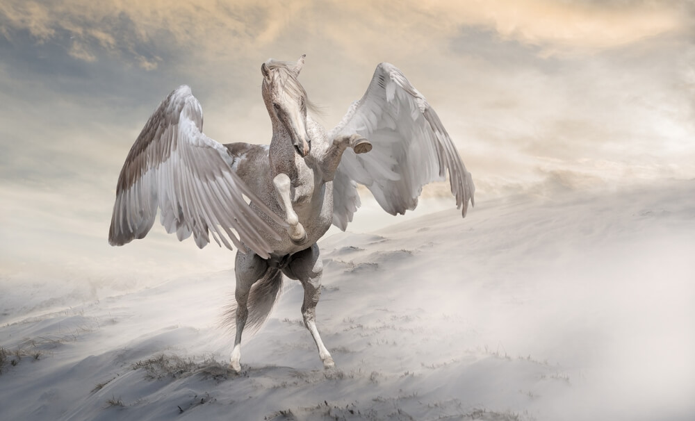 mythical pegasus horse mythical pegasus horse