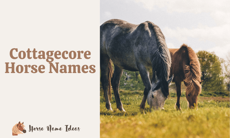 Cottagecore Horse Names