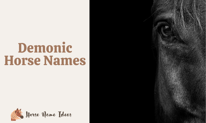 Demonic Horse Names