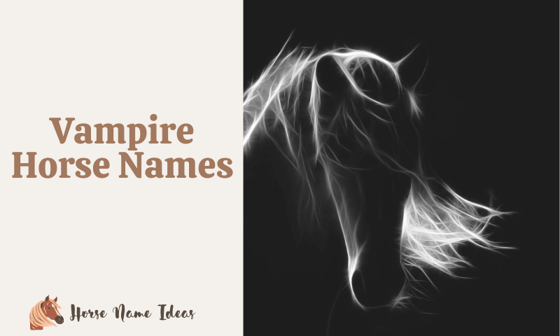 Vampire Horse Names