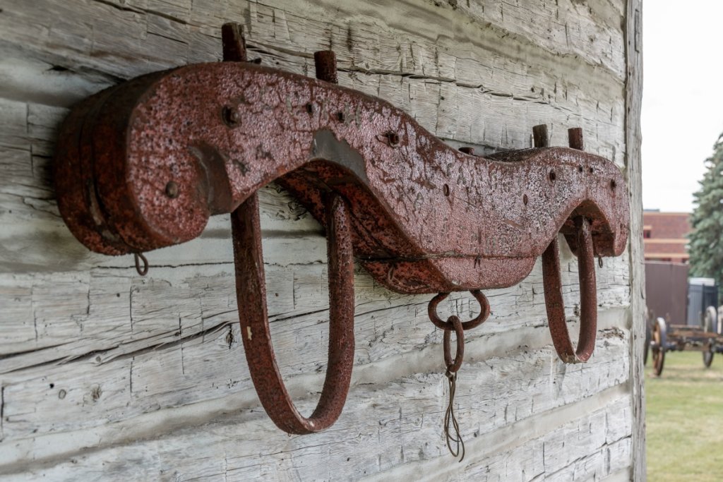 How to Harness a Draft Horse Comprehensive Guide for Beginners