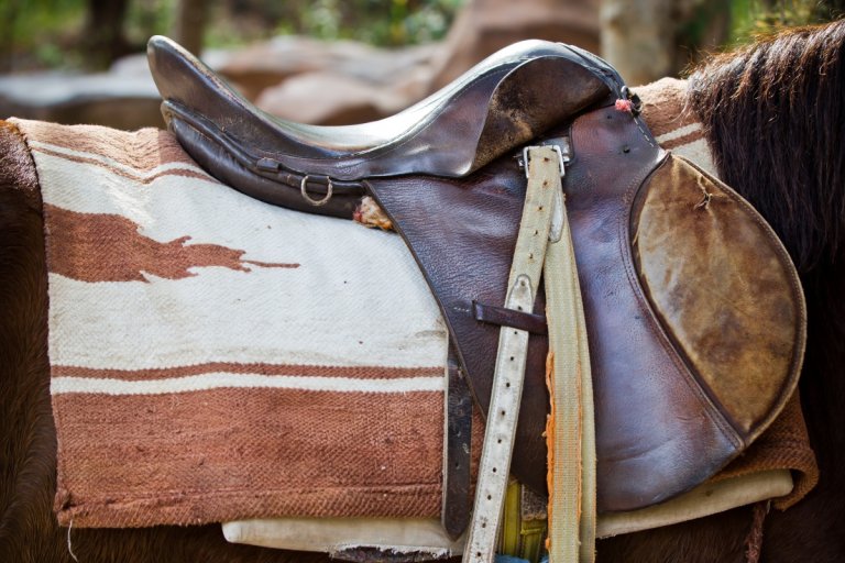 Best Saddle for High Withered Quarter Horse Top Picks & Guide